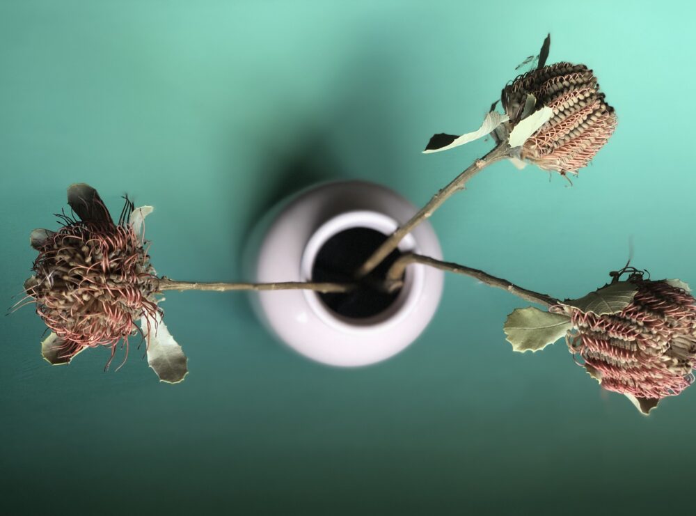 Dried flowers and vase