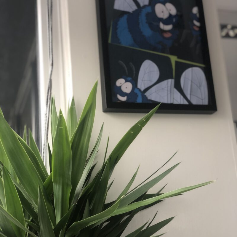 plant and poster