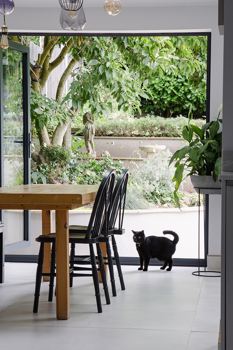 Kitchen with cat