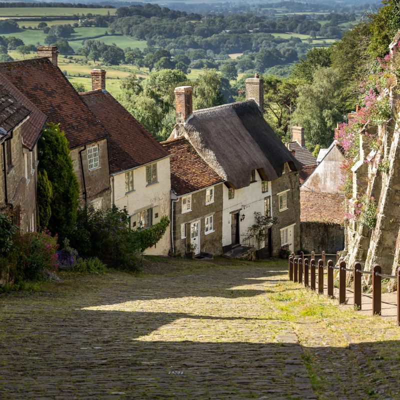 Dorset cottages going up Gold Hill