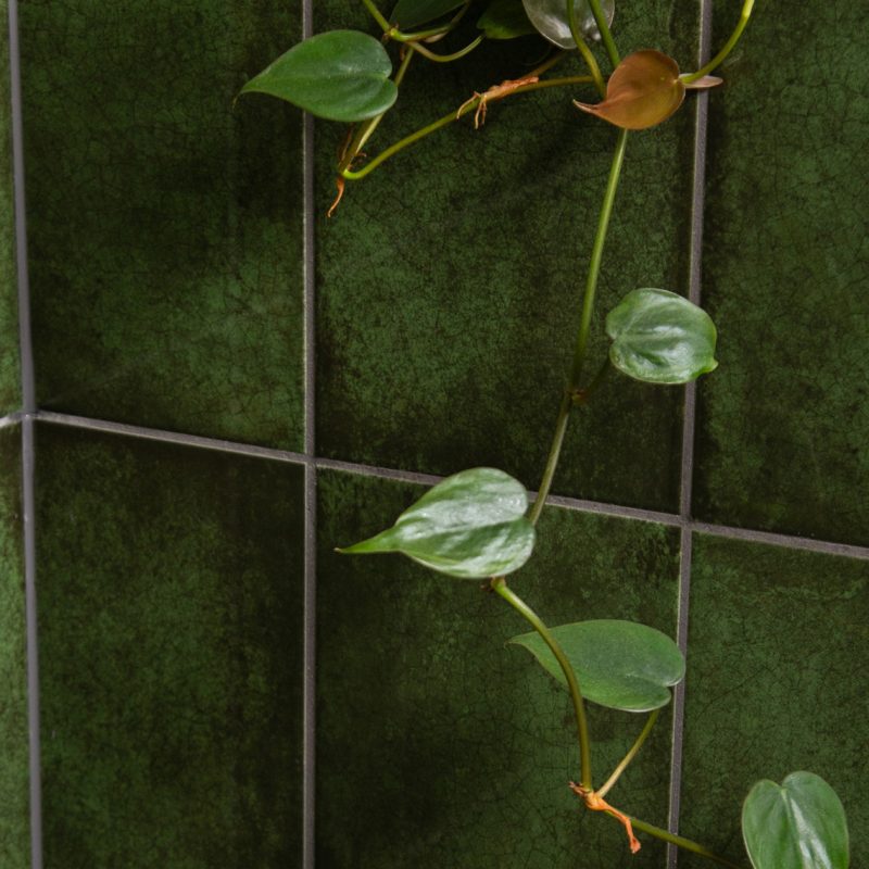 Green nature inspired tiles