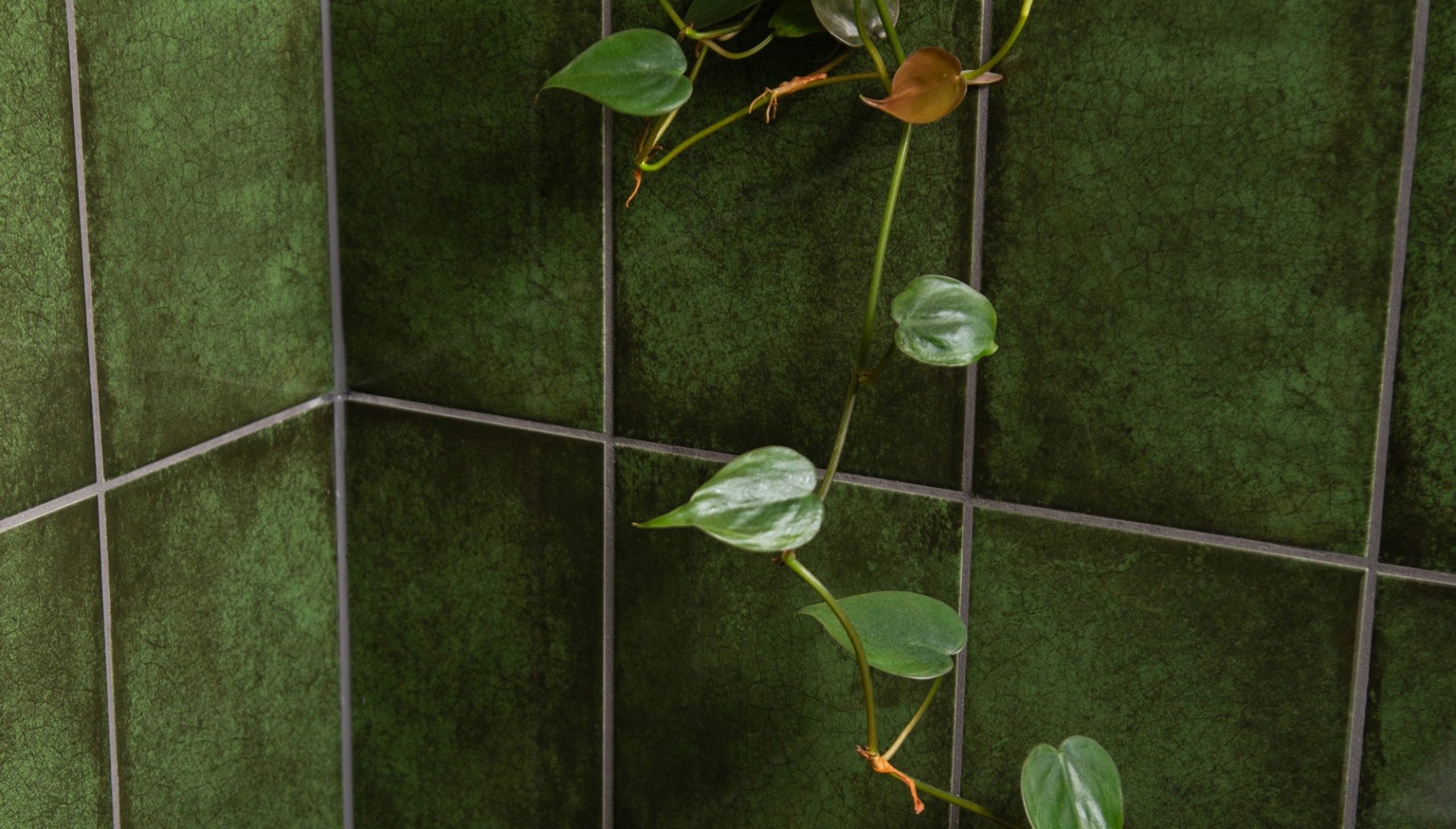 Green nature inspired tiles